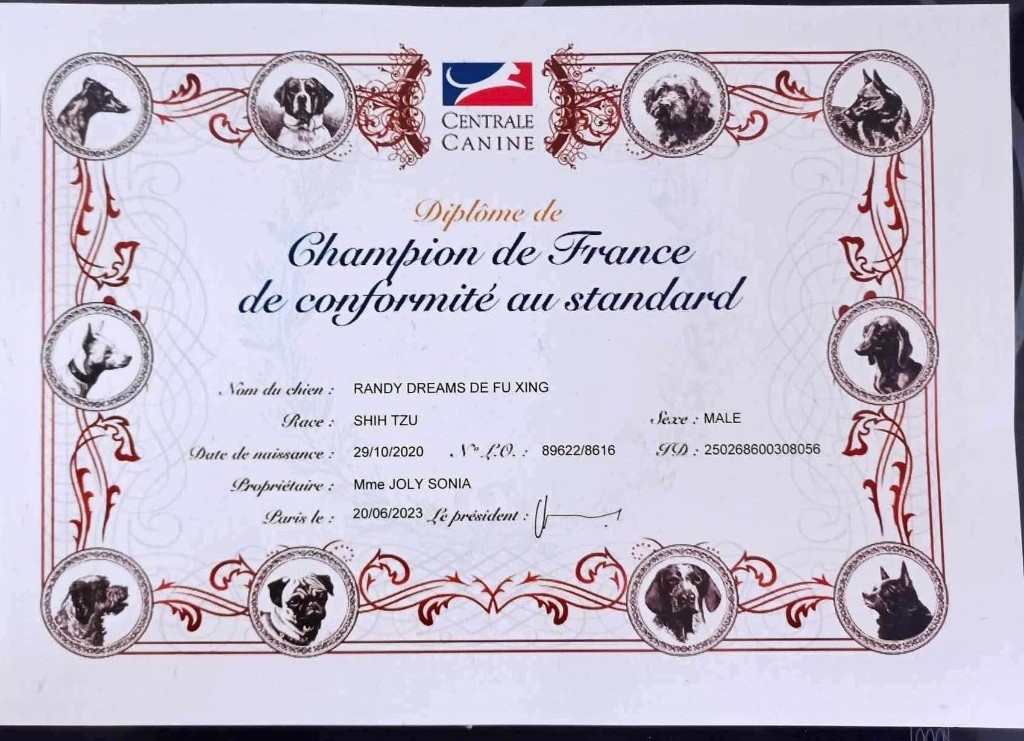 de Fu Xing - Champion de France 