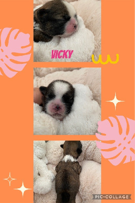 Vicky